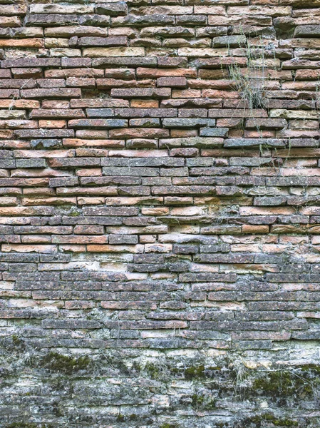 Stará cihlová zeď s texturou, mech — Stock fotografie