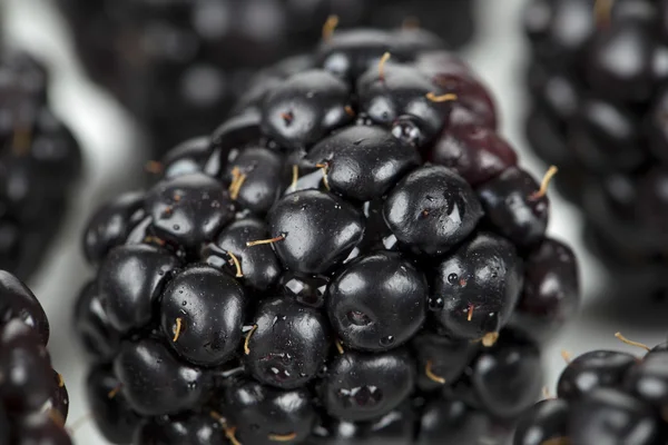 Deliziosi frutti di mora — Foto Stock