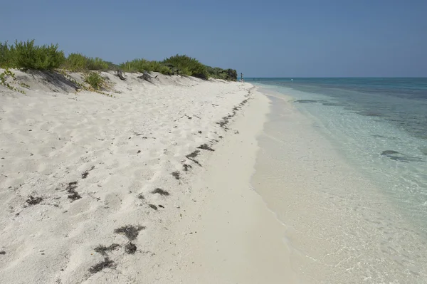 Costa del mare — Foto Stock