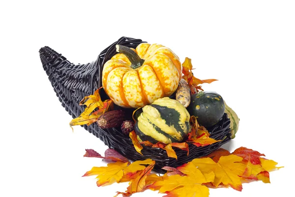 Fall centerpeice — Stock Photo, Image