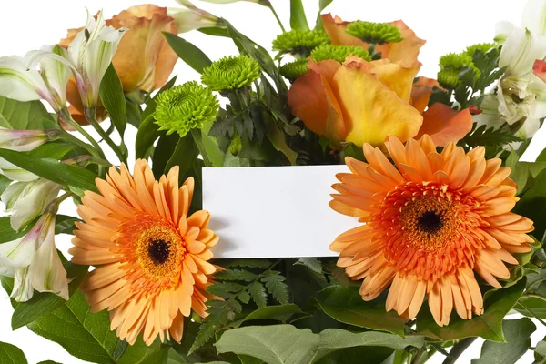 Empty card and daisy flowers — Stock Photo, Image