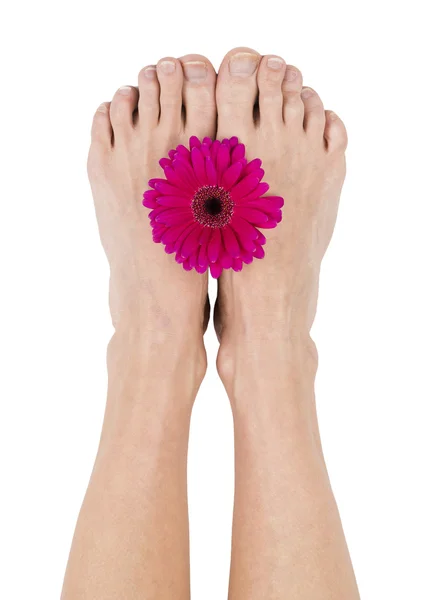 Füße mit rosa Blume — Stockfoto