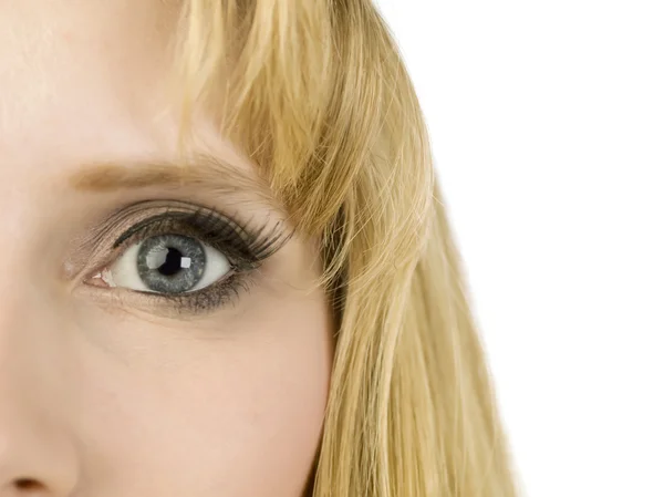 Female grey eye — Stock Photo, Image