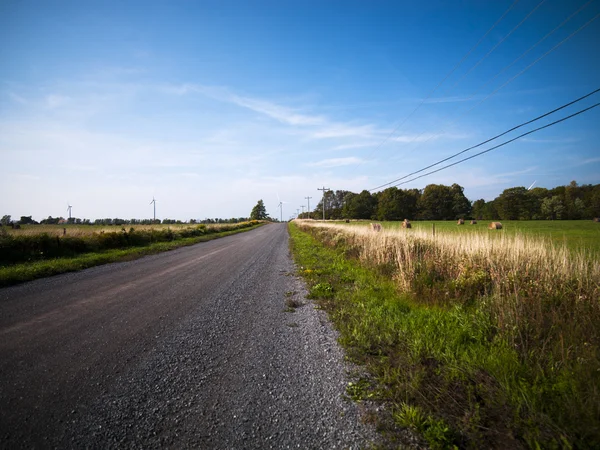 Estrada de terra vazia passando pelo campo — Fotografia de Stock
