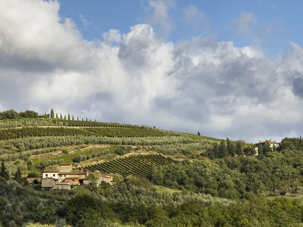 Ver weergave van een wijngaard in Toscane — Stockfoto