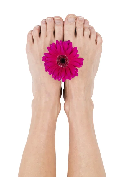 Feet with pink flower — Stock Photo, Image