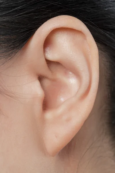 Female ear — Stock Photo, Image