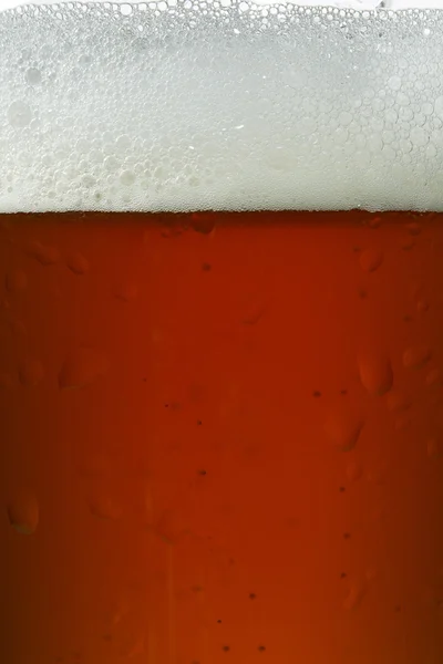 Glas øl tæt på - Stock-foto
