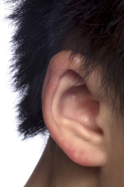 erkek kulak