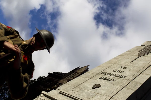 Visão de baixo ângulo de um soldado de chapéu em pé pelo monumento de guerra — Fotografia de Stock