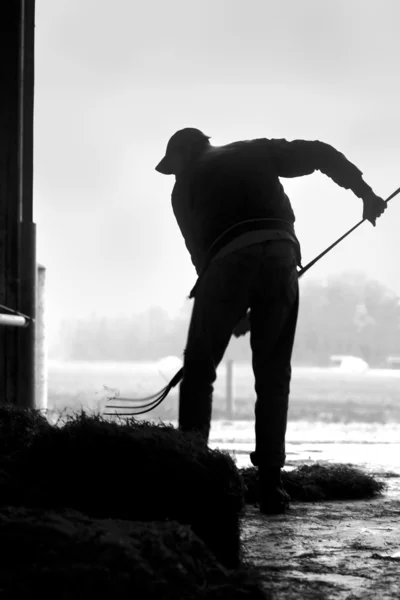 Bauer mit Mistgabel — Stockfoto