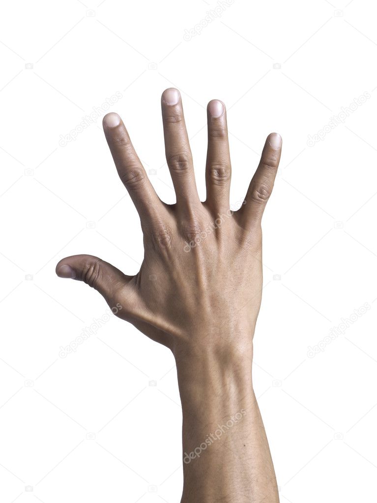 male hand