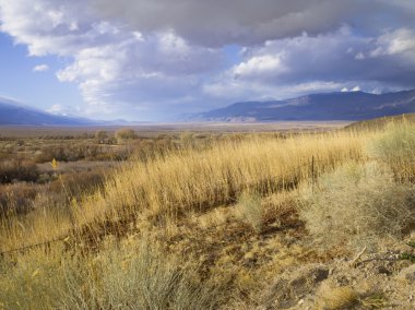 ölü çim ve mavi gökyüzü