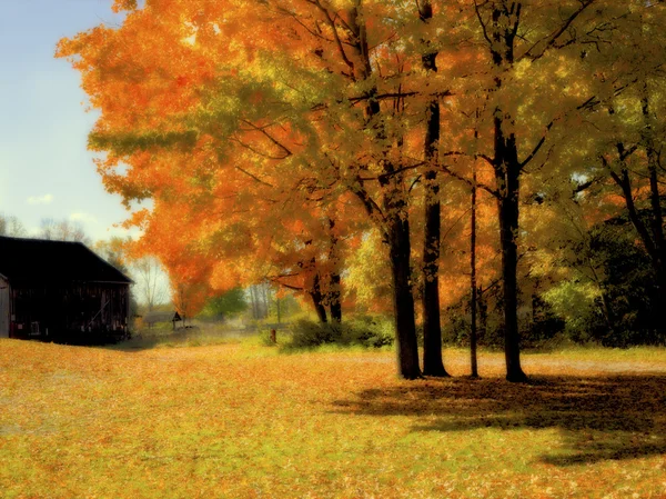 Old barn — Stock Photo, Image