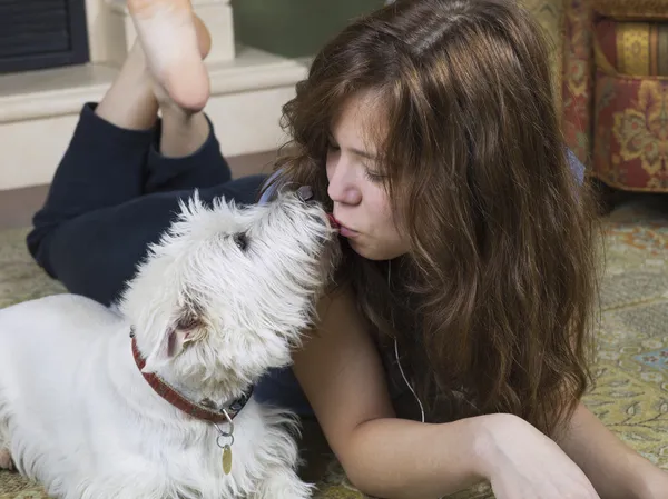 Besos de perro — Foto de Stock