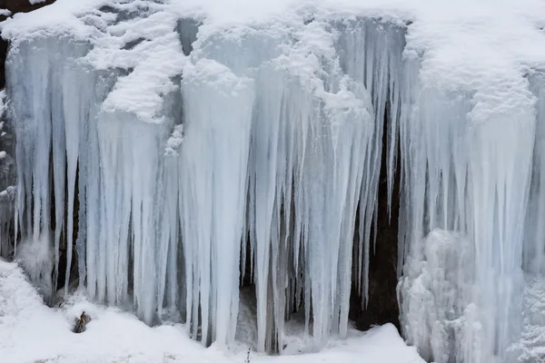 冷ややかな雪の嵐 — ストック写真