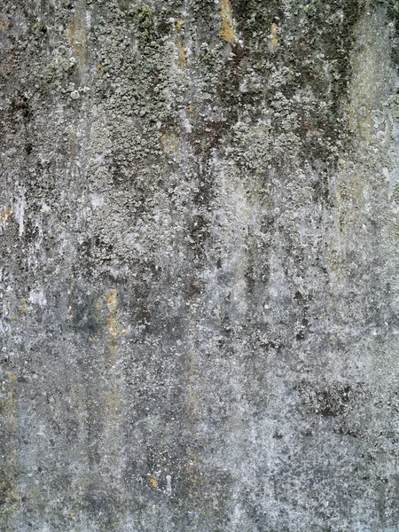 Тосканская стена — стоковое фото