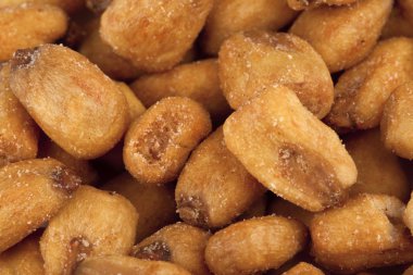 kurutulmuş çekirdek Mısır