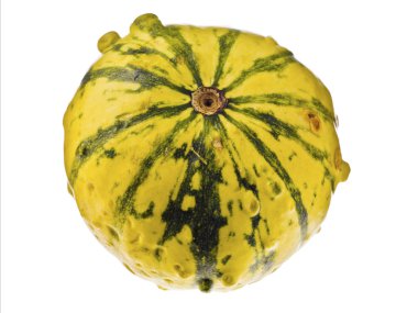 alt kısmı sarı kabak