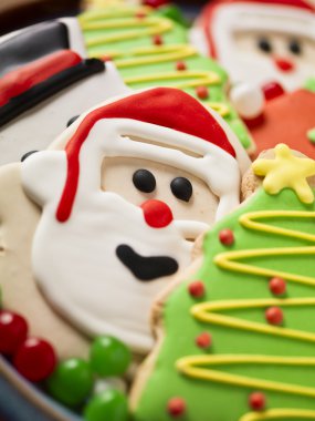 Noel bisküvi yakın çekim