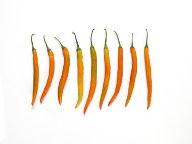 Turuncu chilis
