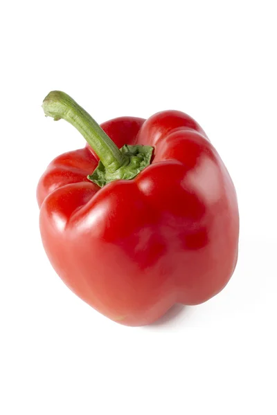 Röd paprika — Stockfoto