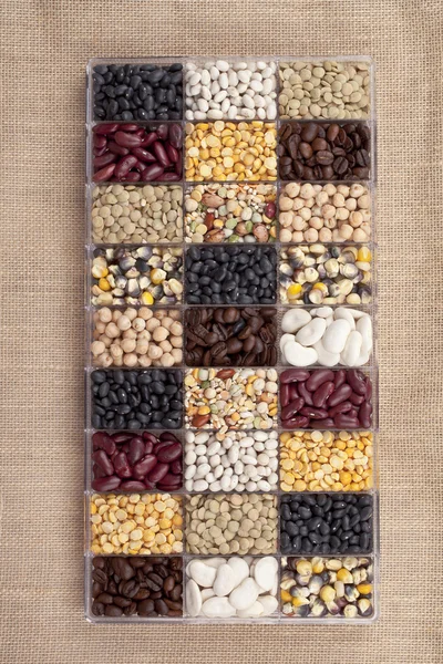 Assorted beans — Stock Photo, Image
