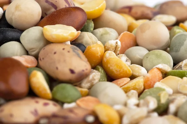 Assorted beans — Stock Photo, Image