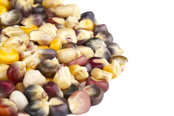 A bunch of corn beans on a white background — Stock Photo, Image