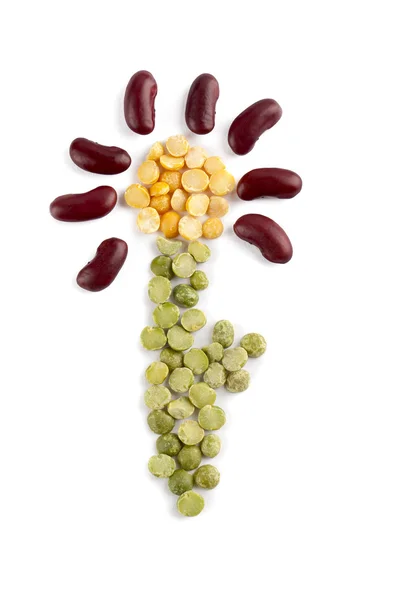 Assorted beans on a flower image — Stock Photo, Image