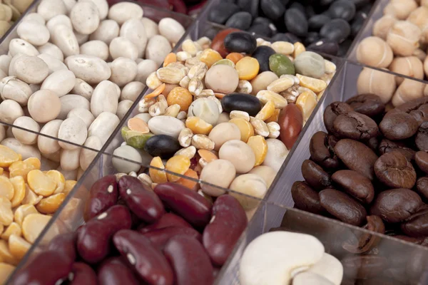 Beans in macro — Stock Photo, Image