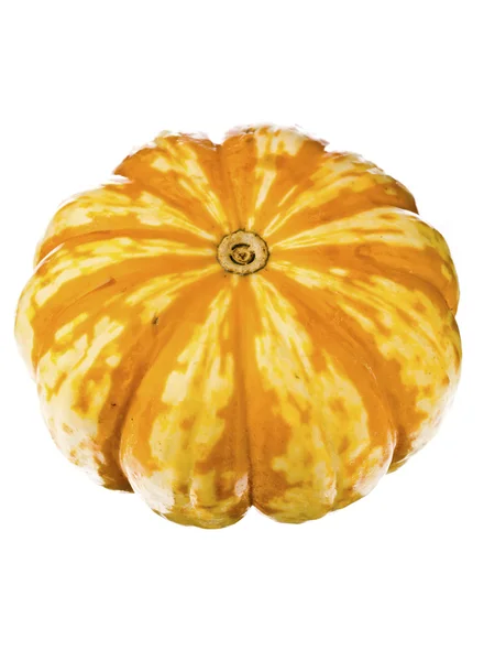 Bottom of pumpkin — Stock Photo, Image