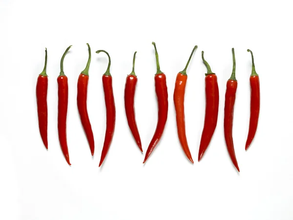 Alignement Chili — Photo