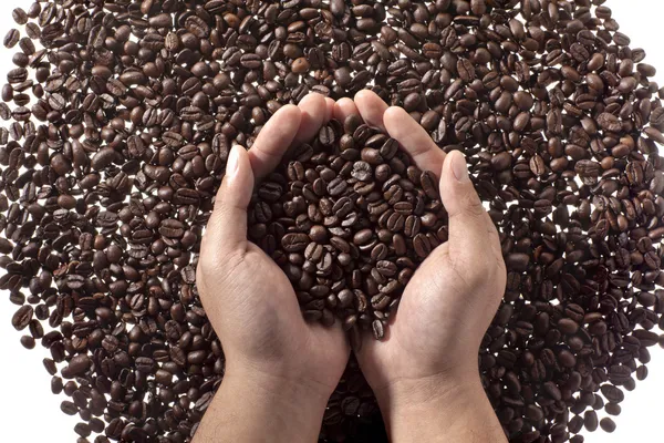 Kávová zrna v rukou — Stock fotografie