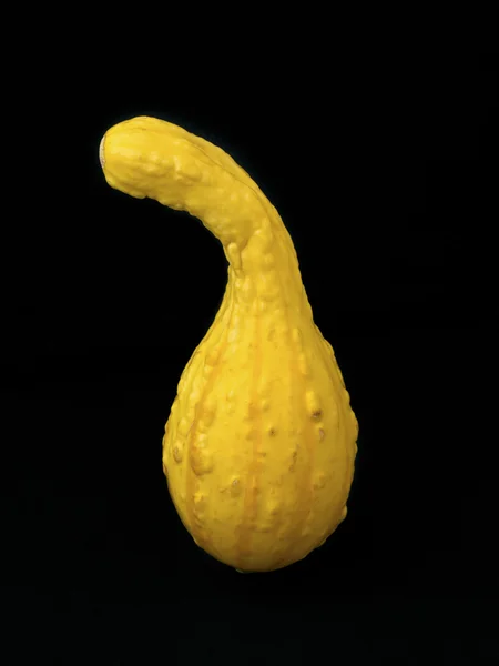 Zucca colorata — Foto Stock