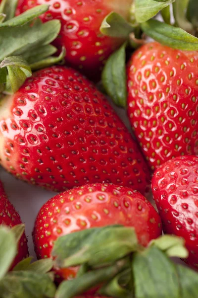 Erdbeeren — Stockfoto