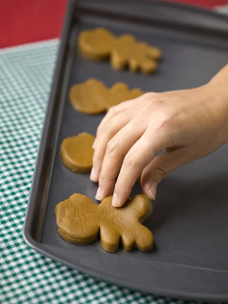 Gember brood cookies — Stockfoto