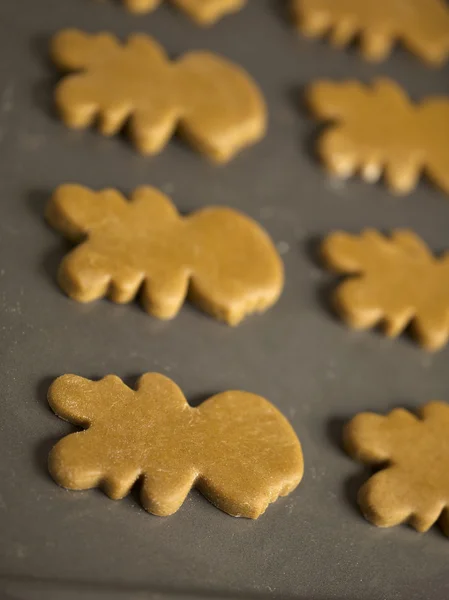 Biscoitos de gengibre — Fotografia de Stock