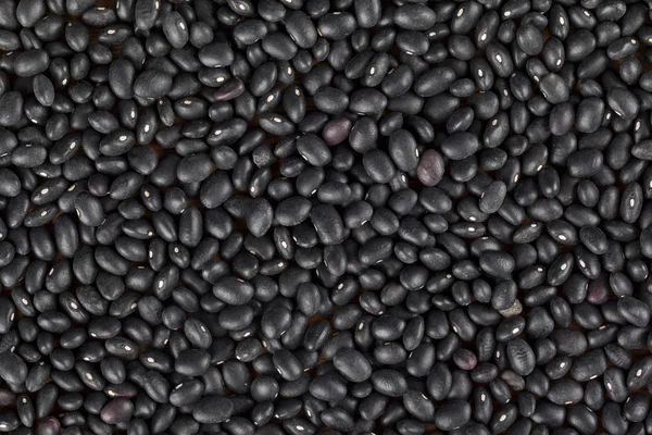 Heap black beans — Stock Photo, Image