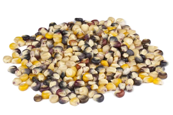 Heap of corn beans — Stock Photo, Image