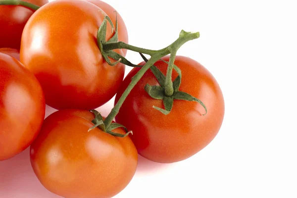 Cebolinha de tomates vermelhos — Fotografia de Stock