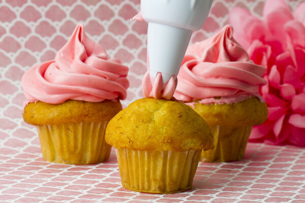 icing bag decorating butter cream on cupcake