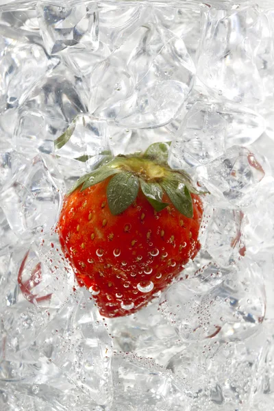 Image de fraise sur glaçons — Photo