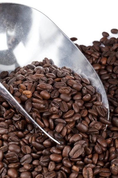 Metal scooper on coffee beans — Stock Photo, Image