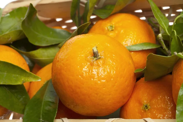 Pomarańcze na kosz z bliska — Zdjęcie stockowe