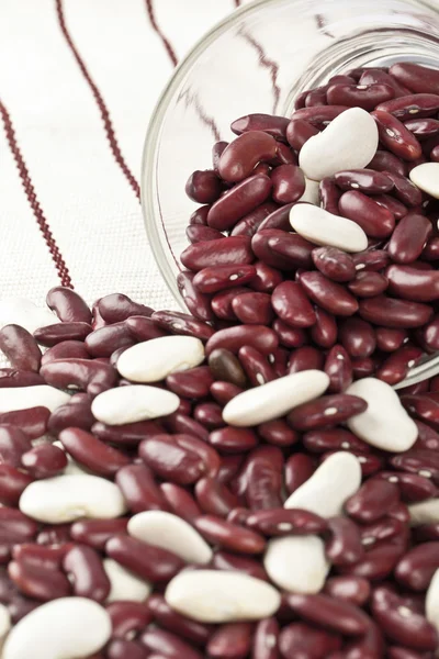 Red and white beans — Stock Photo, Image