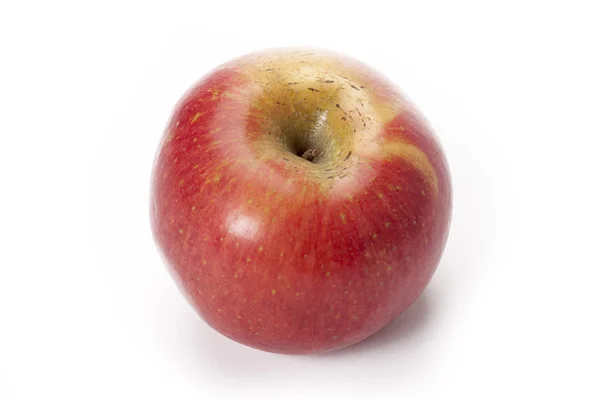 Kraliyet gala elması — Stok fotoğraf
