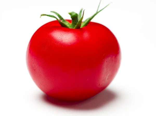Enkel tomat — Stockfoto