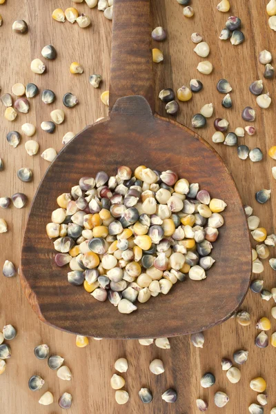 Spilled assorted beans on the wooden spoon — Stock Photo, Image