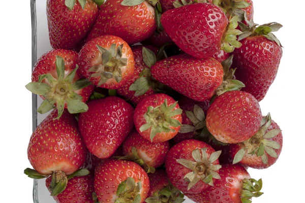 Fruits de fraise — Photo